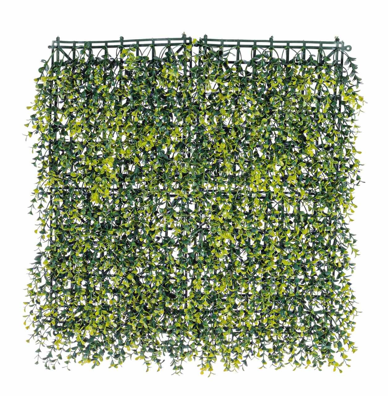 Panou verde artificial / gradina verticala artificiala Buxus, Bizzotto, 50 x 50 cm